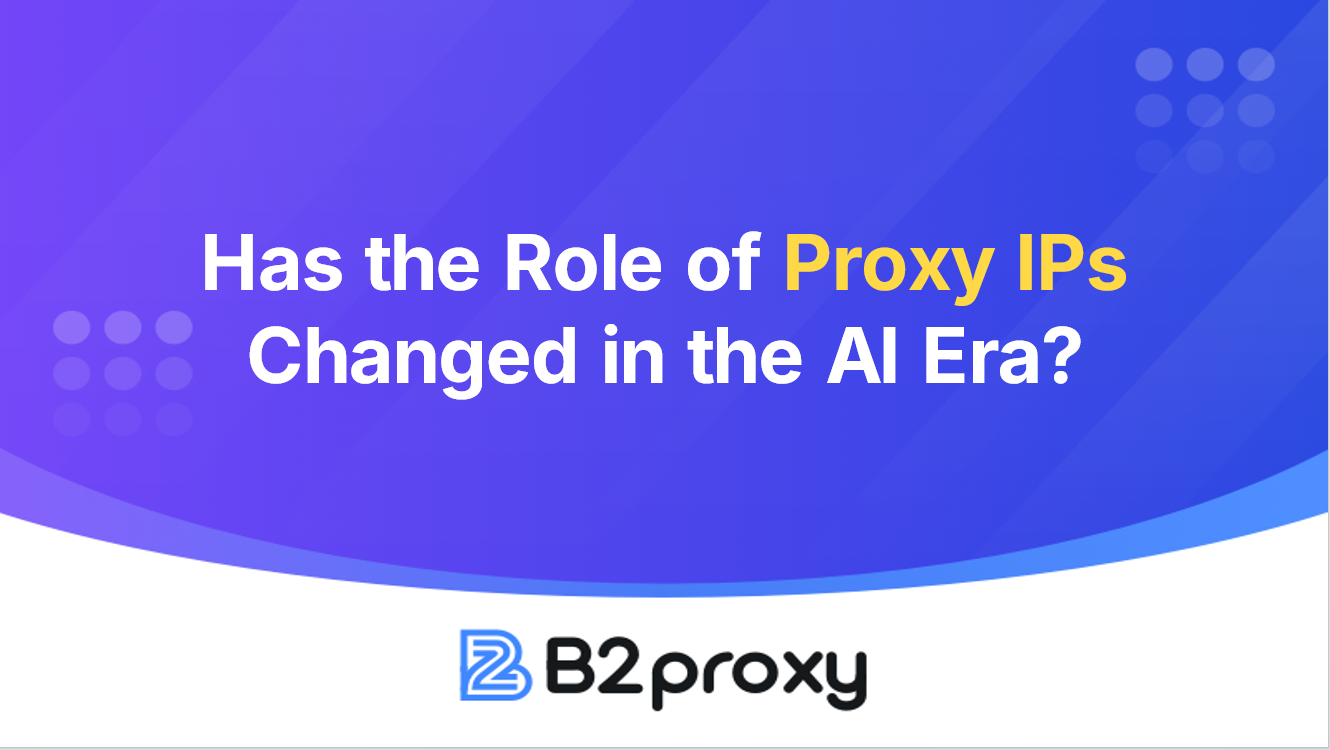 B2Proxy Image