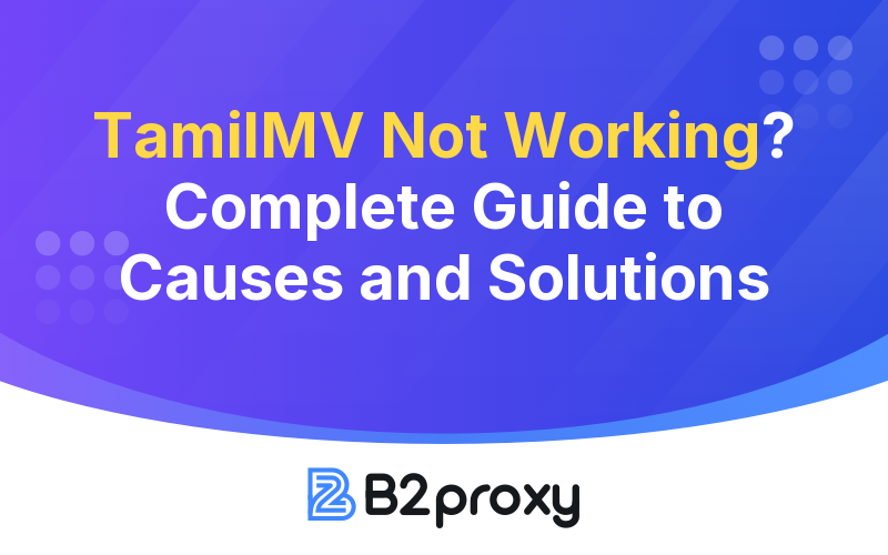 B2Proxy Image