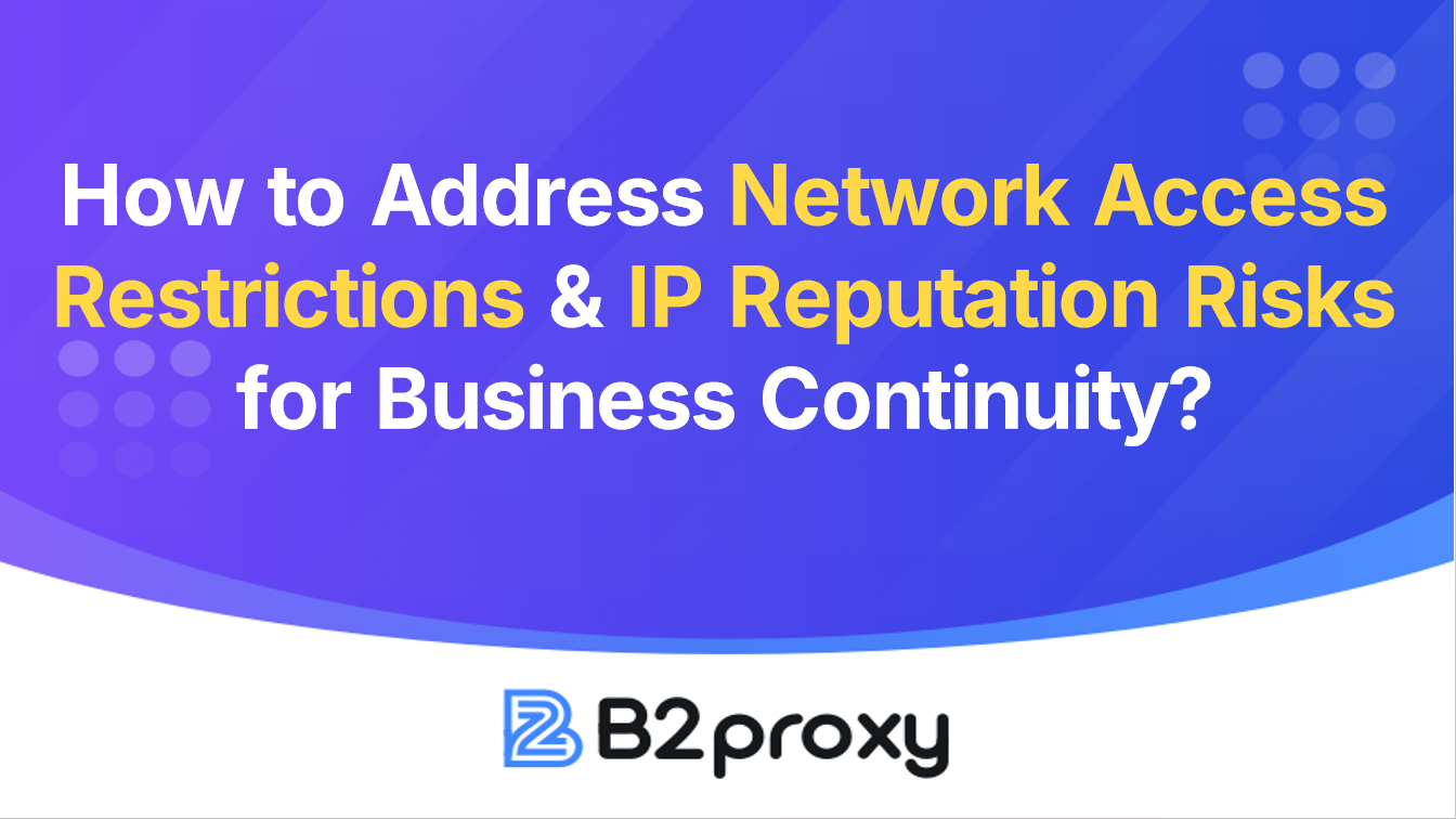 B2Proxy Image