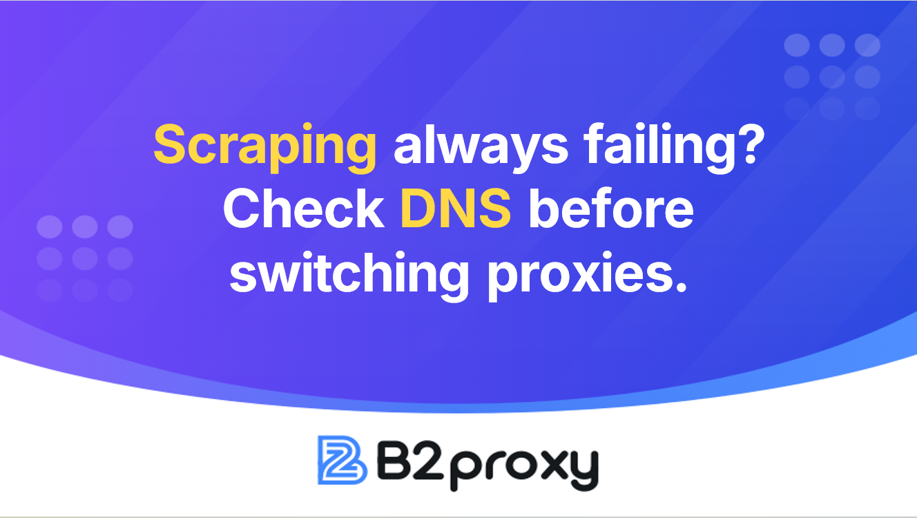 B2Proxy Image