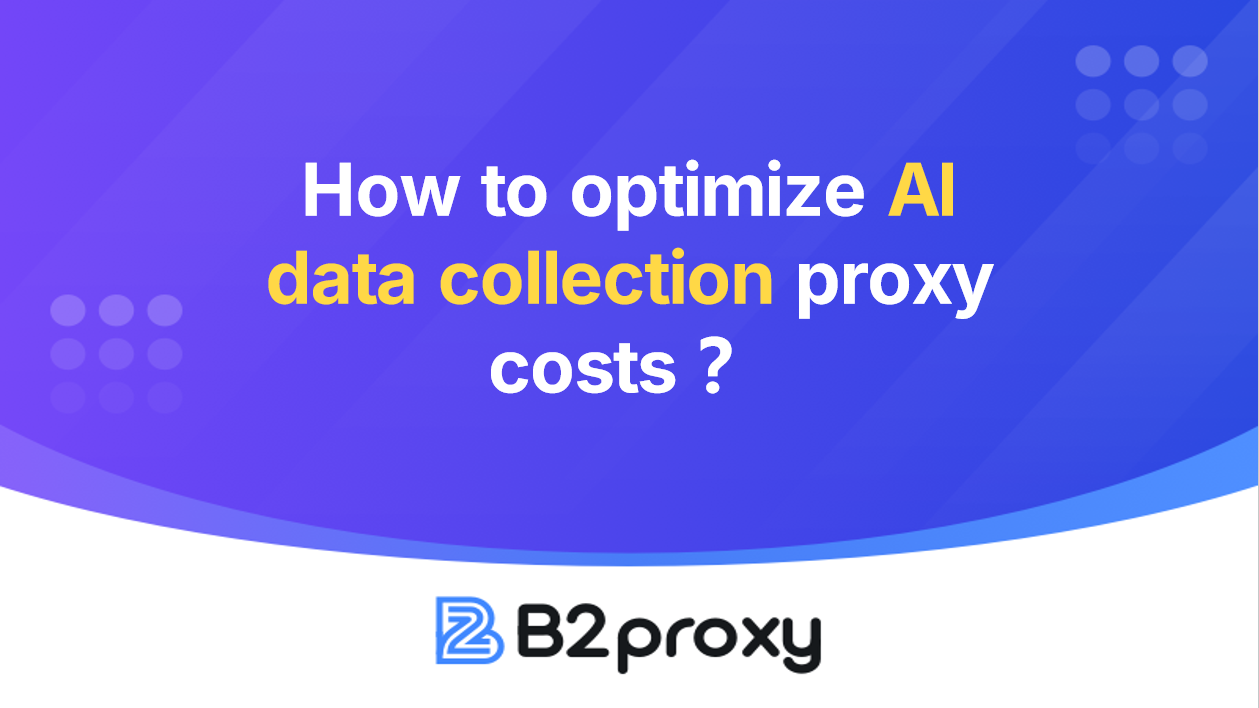 B2Proxy Image