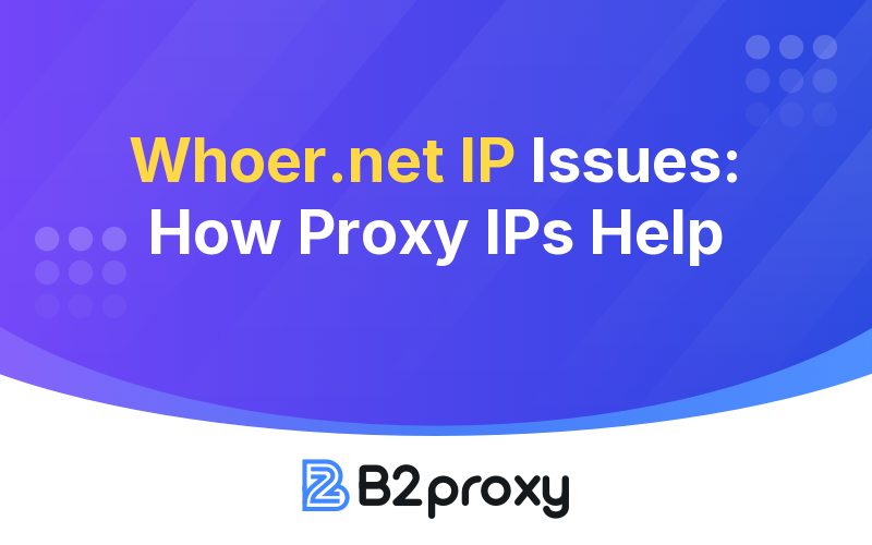 B2Proxy Image