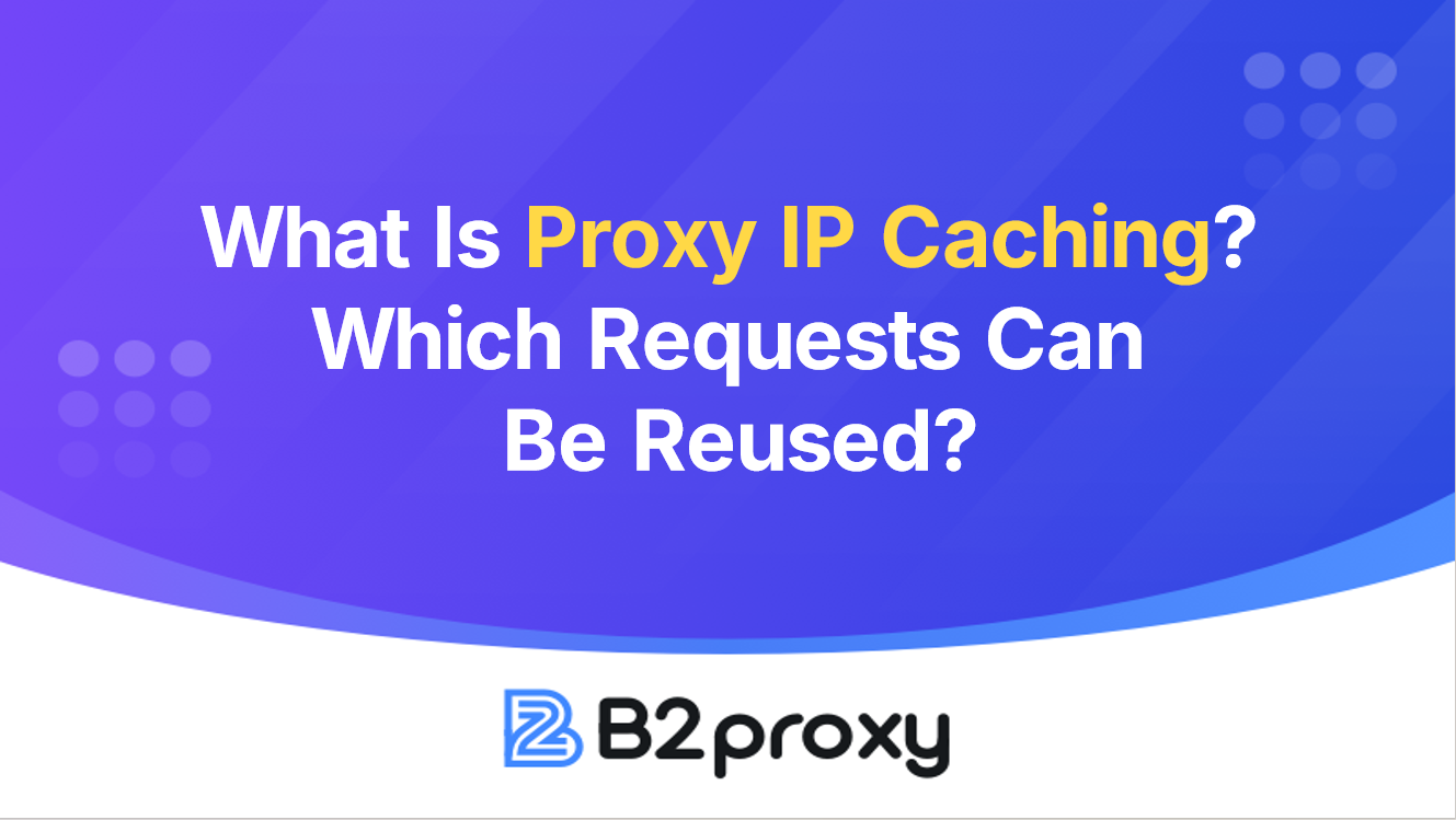B2Proxy Image
