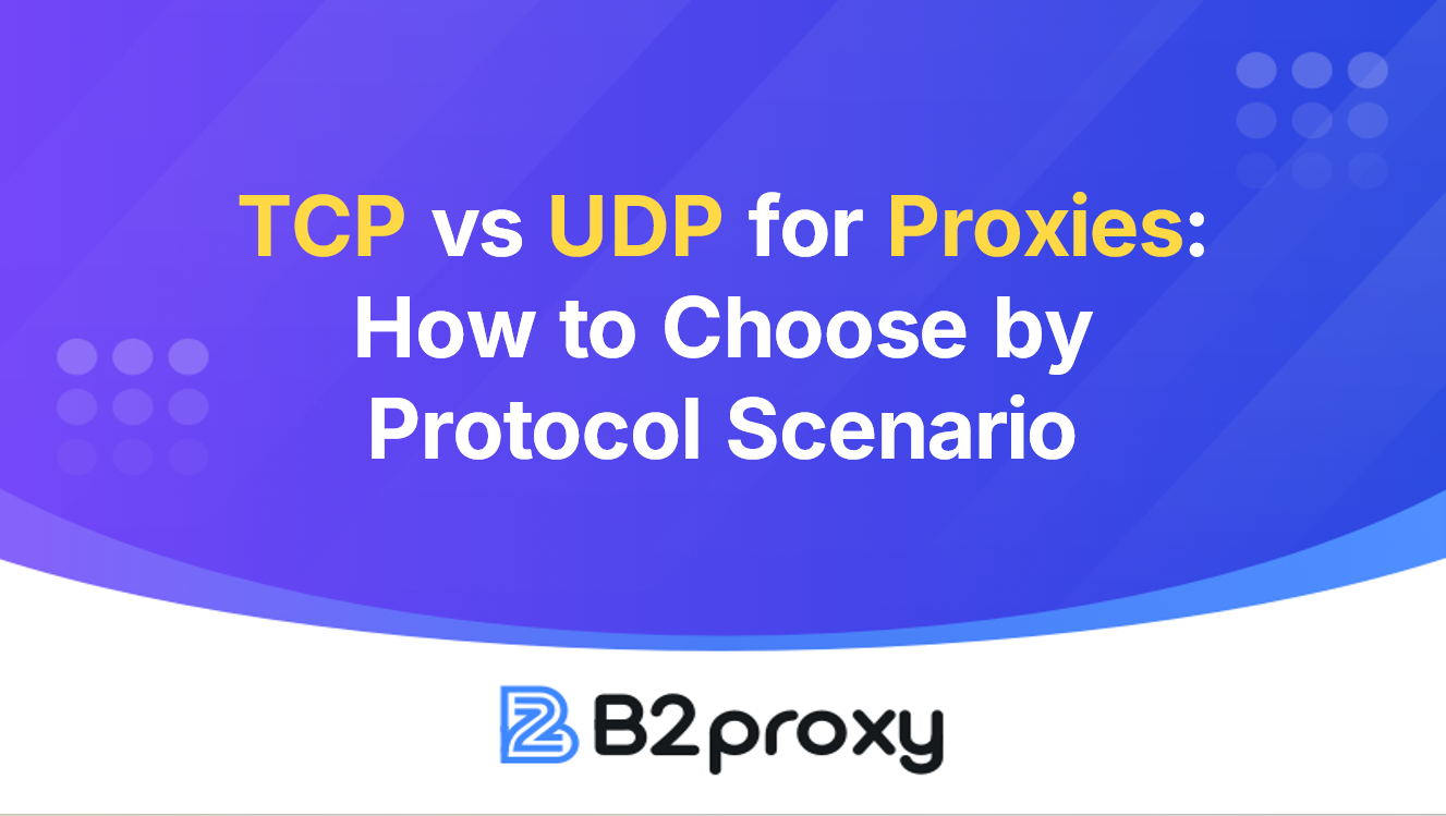 B2Proxy Image