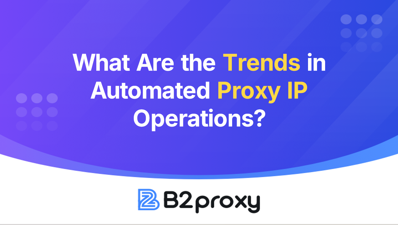 B2Proxy Image